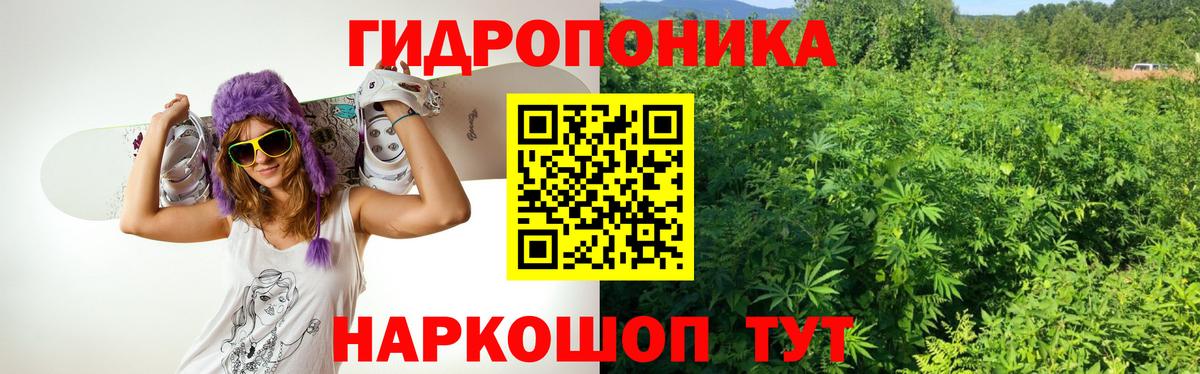 Ярцево  Шишки марихуана VHQ  Вход с VPN  МАРИХУАНА планчик  Марихуана Amnesia 